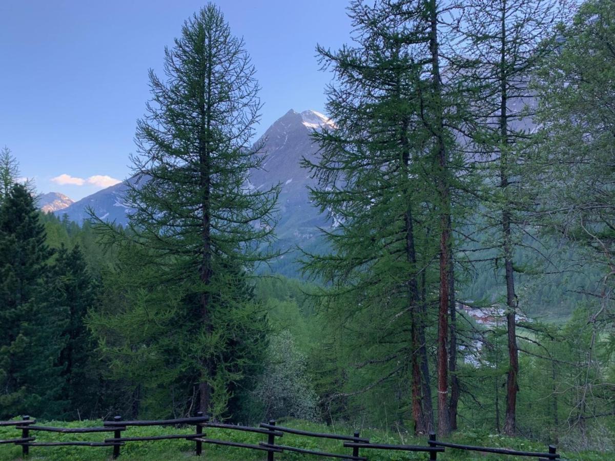 Casa Camas, Wide 2Bedroom, Feel The Mountain Breuil-Cervinia Ngoại thất bức ảnh